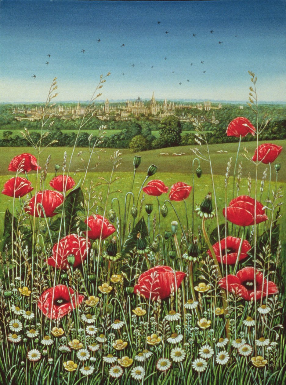 Oxford Poppies, 1983 (olie og tempera på panel) af Frances Broomfield