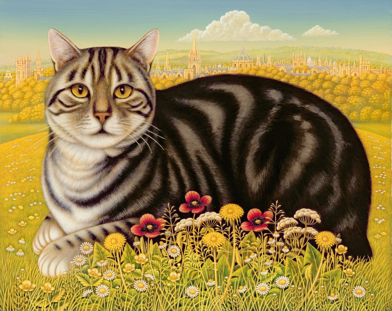 The Oxford Cat, 2001 (olie og tempera på panel) af Frances Broomfield