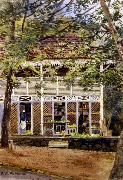 Britisk Vestindien (akvarel på papir) af Frances C. Fairman