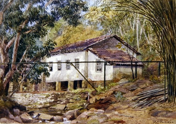 Britisk Vestindien (akvarel på papir) af Frances C. Fairman