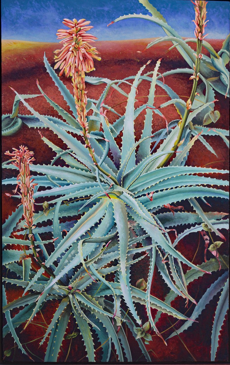 Aloe af Frances Ferdinands