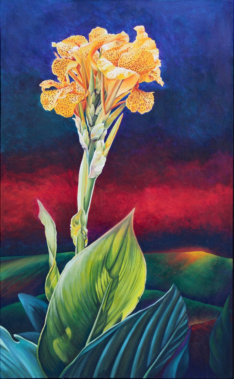 Gul Canna Lily af Frances Ferdinands
