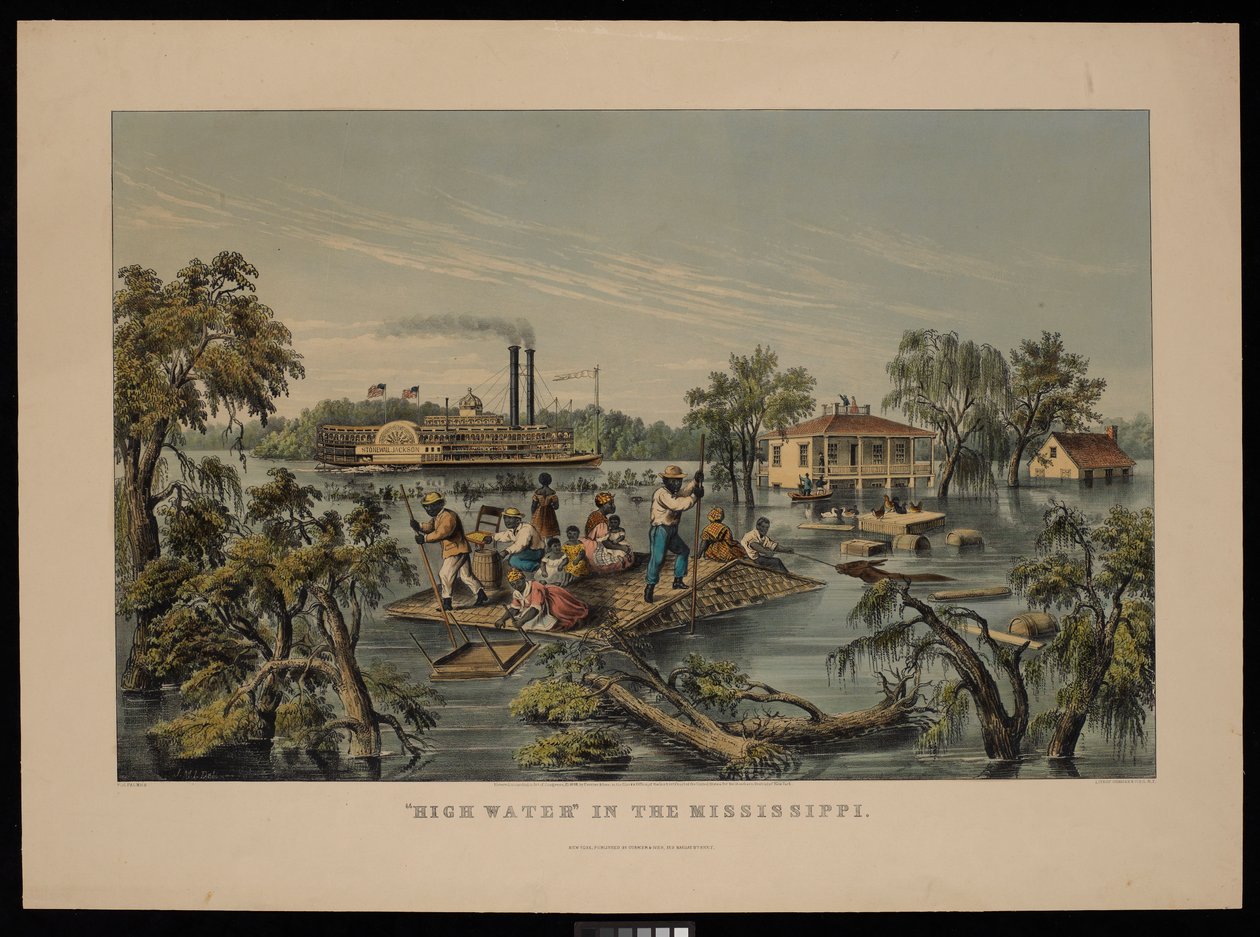 Højvande i Mississippi af Frances Flora Bond (c.1812 76) Palmer