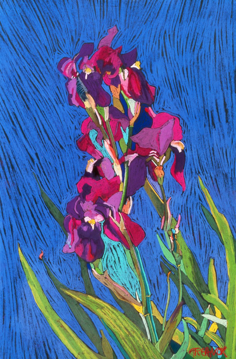 Iriser af Frances Treanor