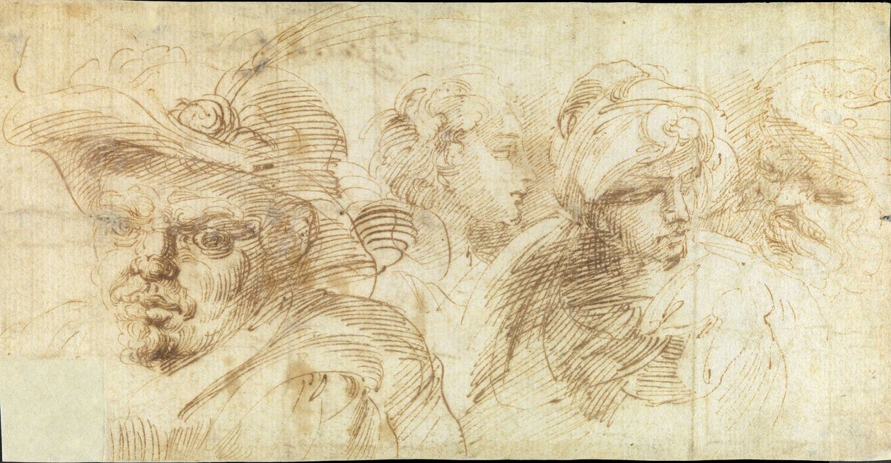 Undersøgelser af hoveder af Francesco Brizio