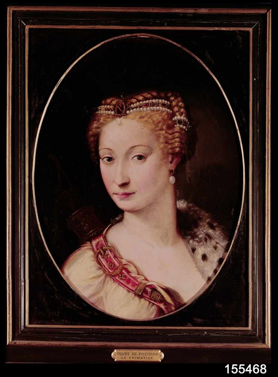Diane de Poitiers (1499-1566) (olie på skifer) af Francesco Primaticcio