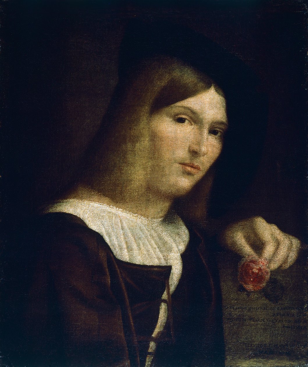 Portræt af en ung mand med en rose af Francesco Torbido