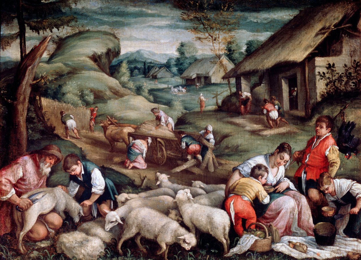 Sommer. Fåreklipning, c1570-c1580 af Francesco Bassano the Younger