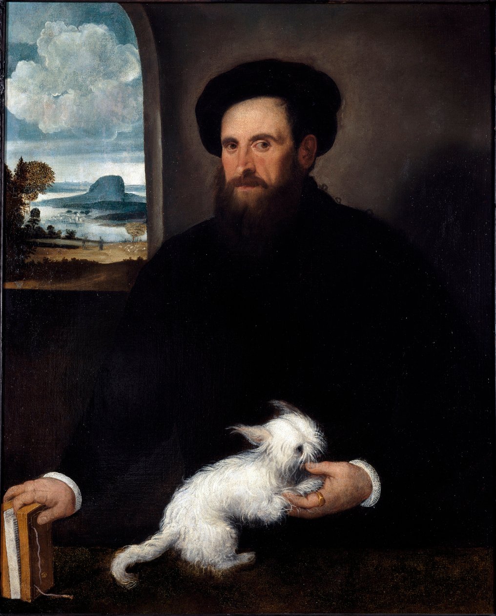 Portræt af herren med den lille hund maleri af Francesco Beccaruzzi (ca. 1492-1563) 1540 ca. Mål 101x84 cm Milano, Civic Collections of the Castello Sforzesco af Francesco Beccaruzzi