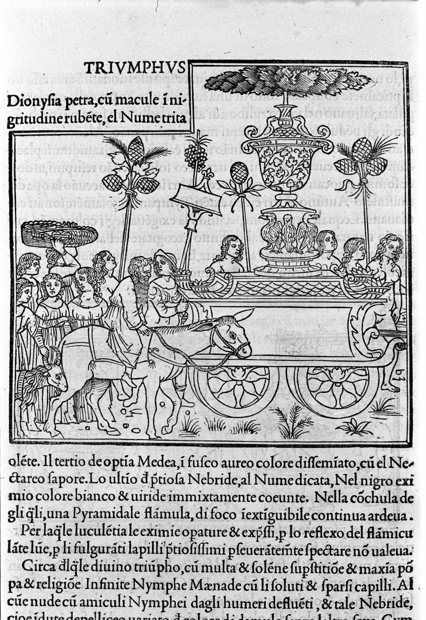 Indgravering i "Hypnerotomachia Polyphili" (drømmen om Poliphila) af den dominikanske munk Francesco Colonna, Venedig af Francesco Colonna