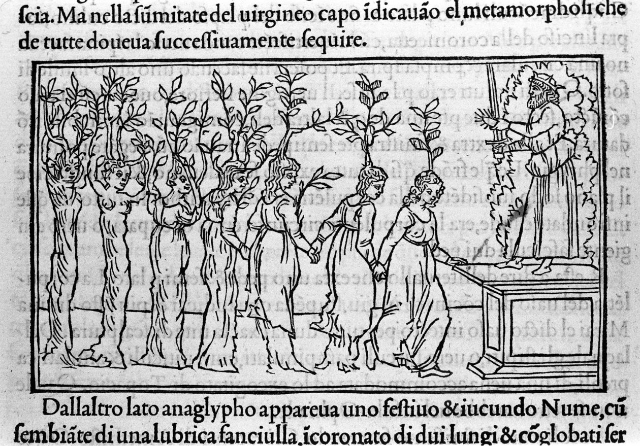 Indgravering i "Hypnerotomachia Polyphili" (drømmen om Poliphila) af den dominikanske munk Francesco Colonna, Venedig af Francesco Colonna