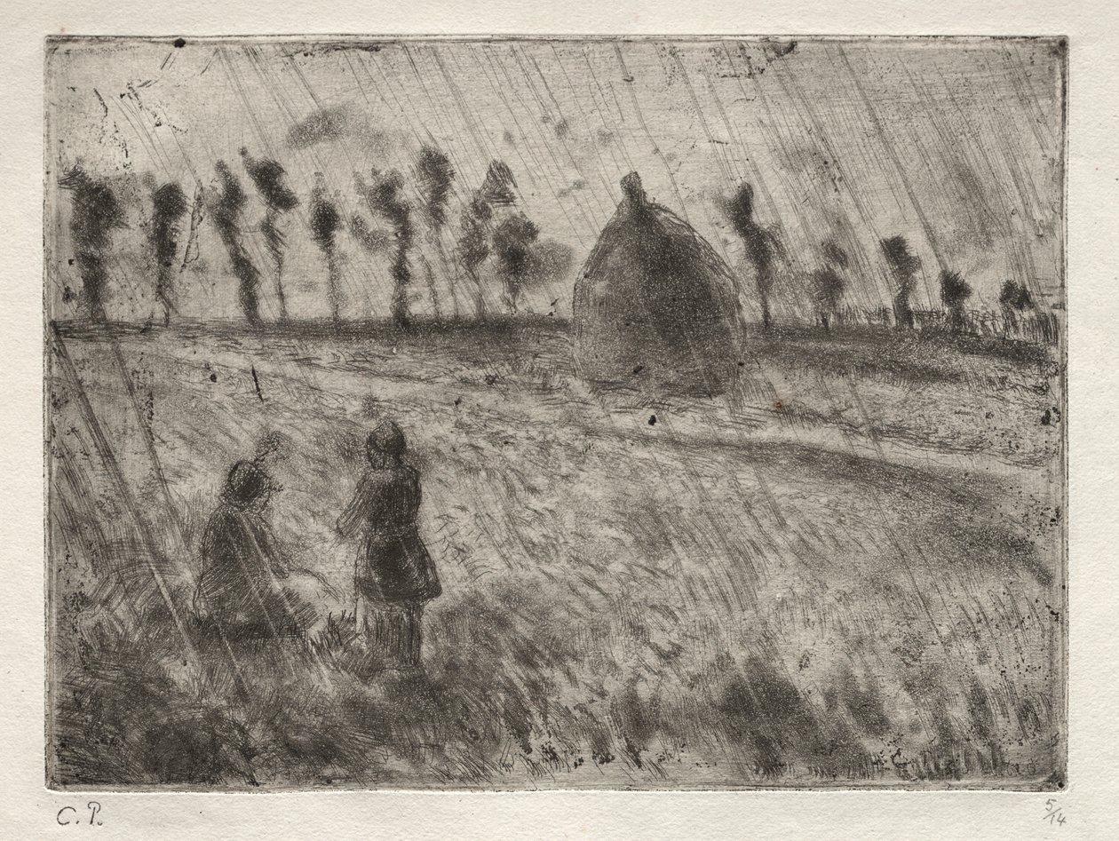 Regn effekter af Francesco Conti