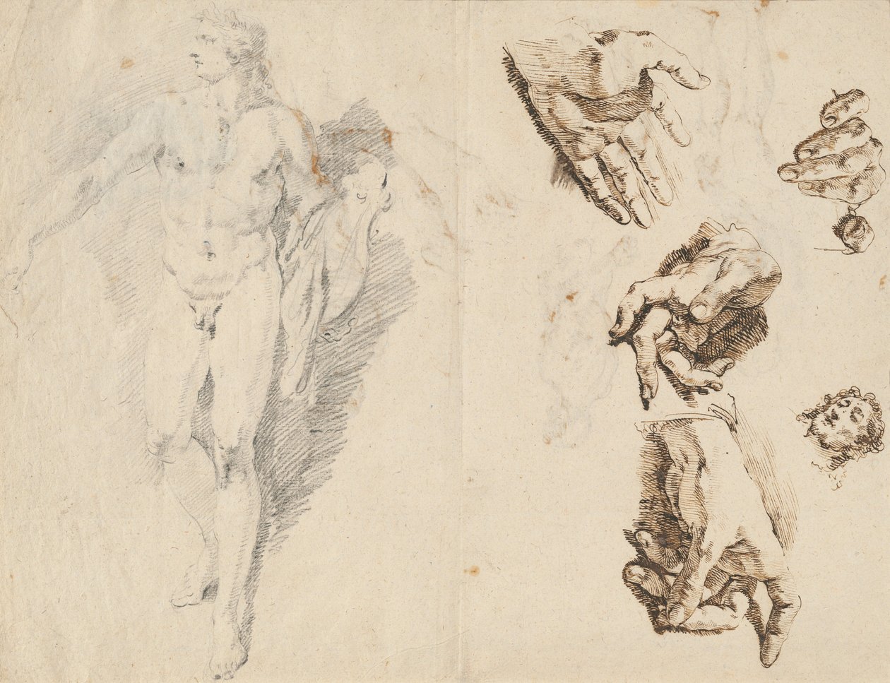 Apollo og studier af kunstnerens egen hånd [recto] af Francesco Fontebasso