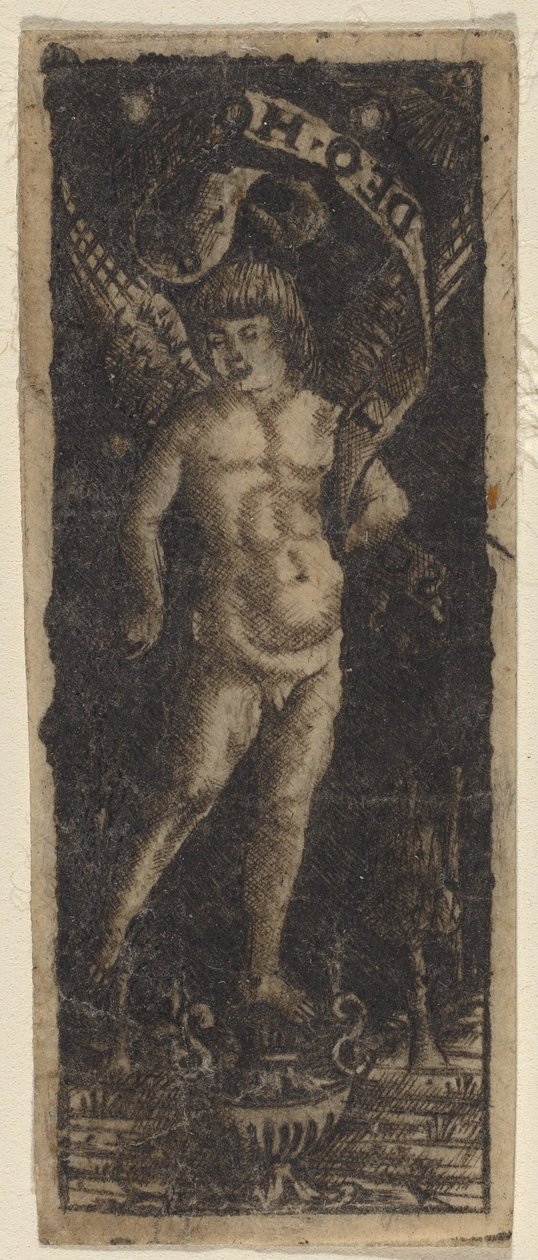 Kerub på en vase med inskription: "SOLI DEO HONOR" af Francesco Francia or Peregrino da Cesena