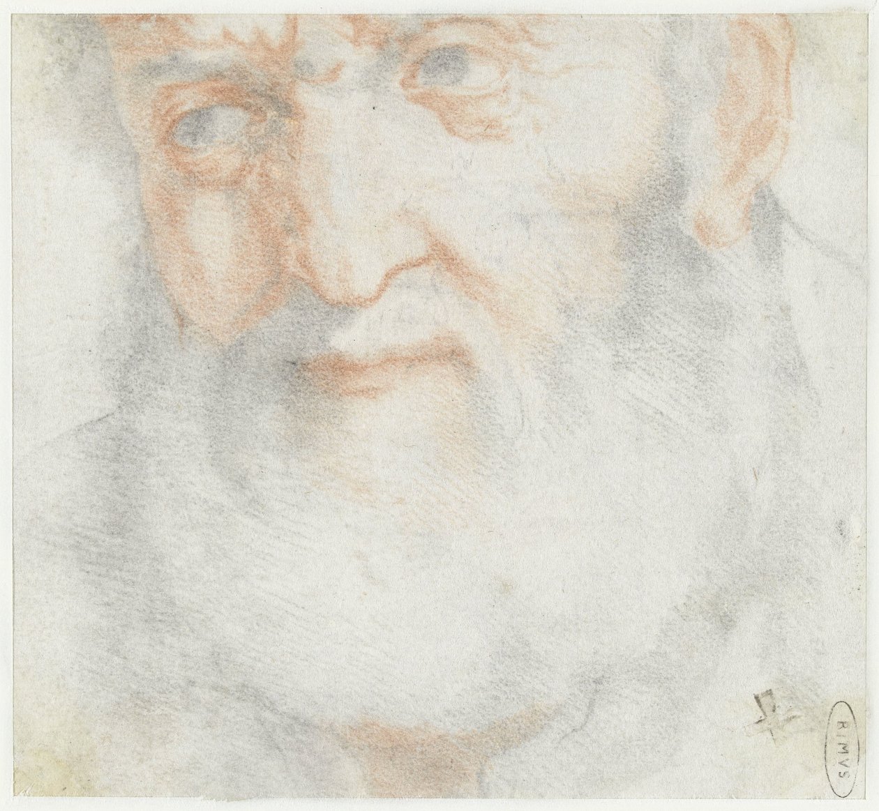Hoved af en gammel mand med skæg af Francesco Furini (attributed to)