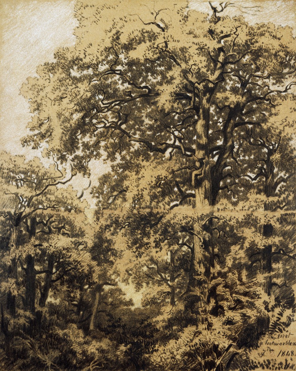 Fontainebleaus skov af Francesco Gamba