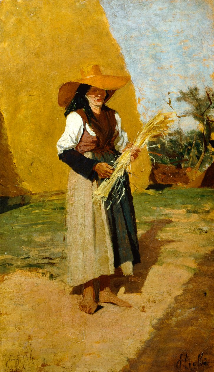 Study for Gleaner (kvindelig felthånd) af Francesco Gioli (1846-1922), olie på panel, 32x19 cm af Francesco Gioli