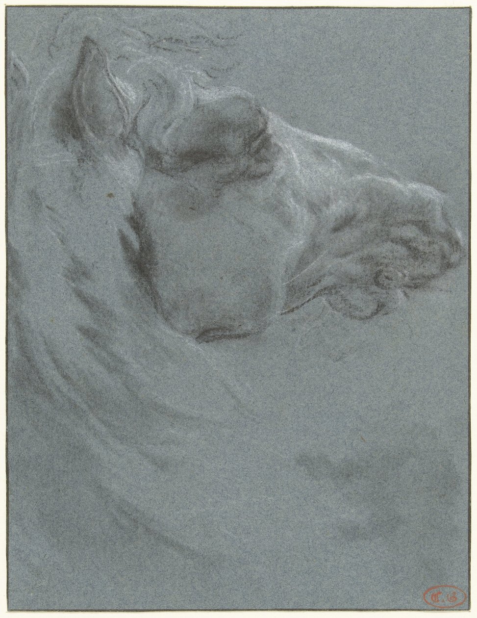 Hovedet på en hest af Francesco Giuseppe Casanova
