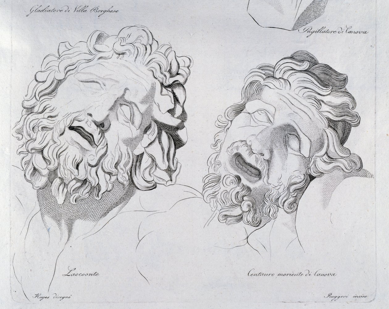 Hoveder af Laokoon og Centaur moriente af Canova af Francesco Hayez