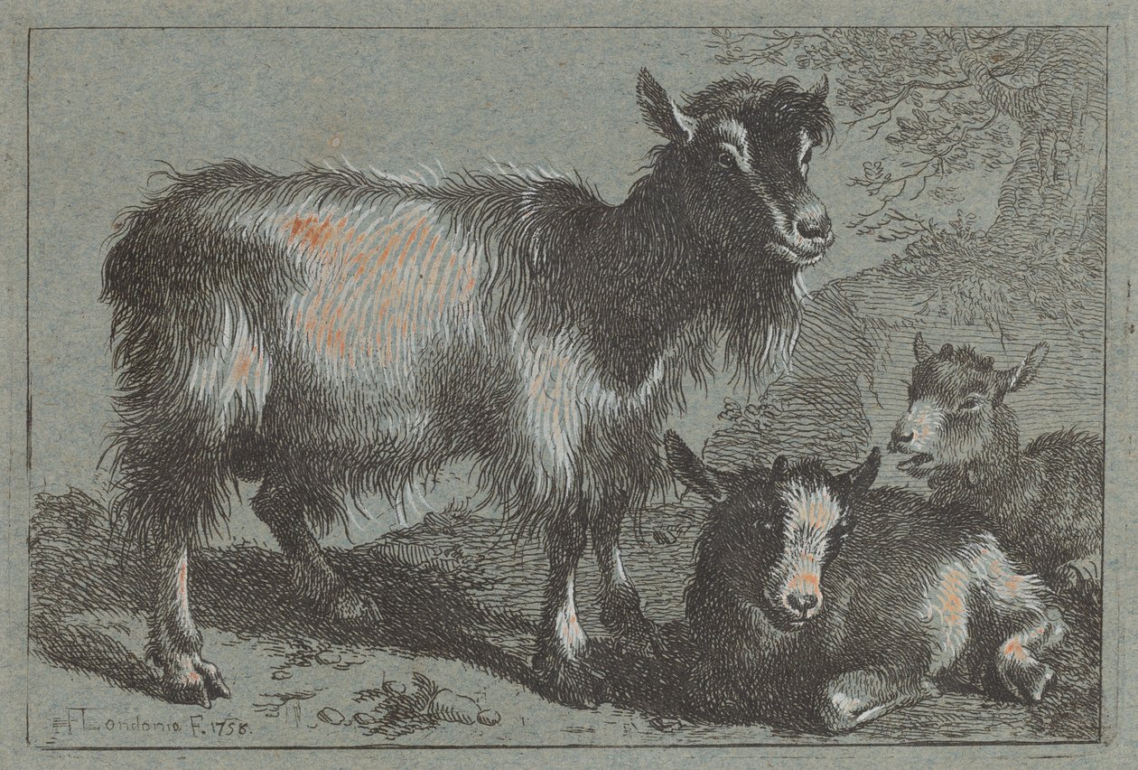 Ged og to unger, 1758. af Francesco Londonio