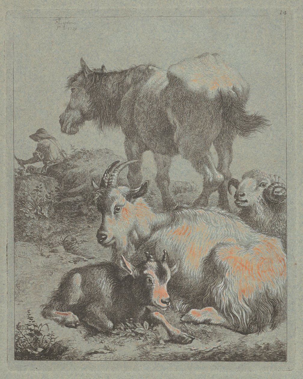 Hest, vædder, ged med kid, i det fjerne en hyrde med flok, 1759. af Francesco Londonio