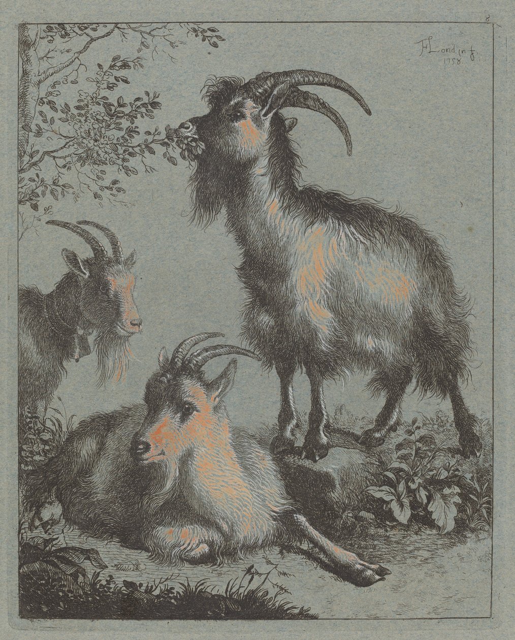 Tre geder, 1758. af Francesco Londonio