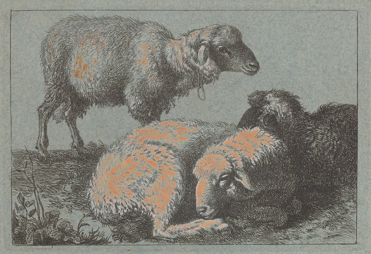To liggende får og et stående får, 17571758. af Francesco Londonio