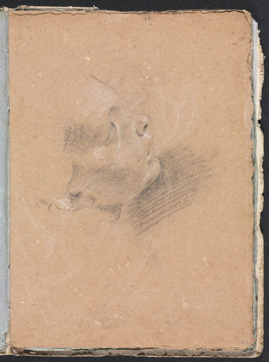 Verona Sketchbook: Kvindeprofil (side 65) af Francesco Lorenzi