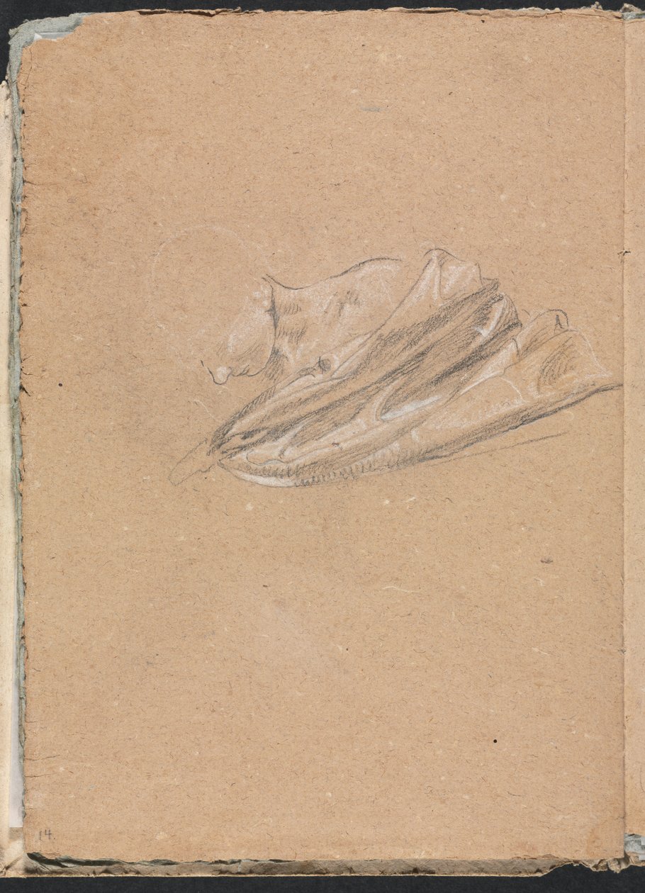 Verona Skitsebog: Hoved og skulder med draperi, side 14, 1760. af Francesco Lorenzi