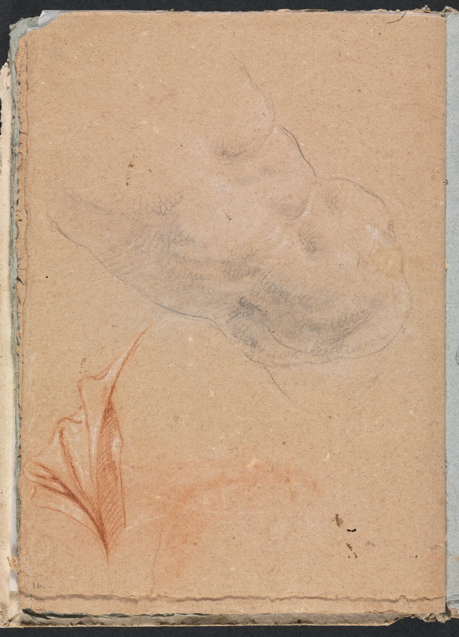 Verona Sketchbook: Nøgen mandlig torso med draperi (side 16) af Francesco Lorenzi