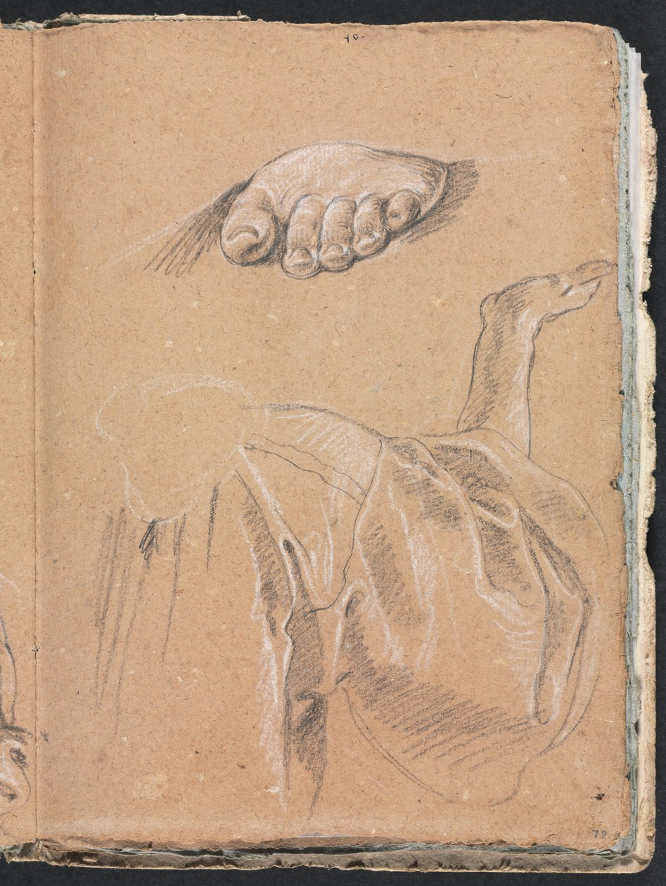 Verona Skitsebog: Studie af et venstre fod- og draperistudium med højre arm side 79, 1760. af Francesco Lorenzi