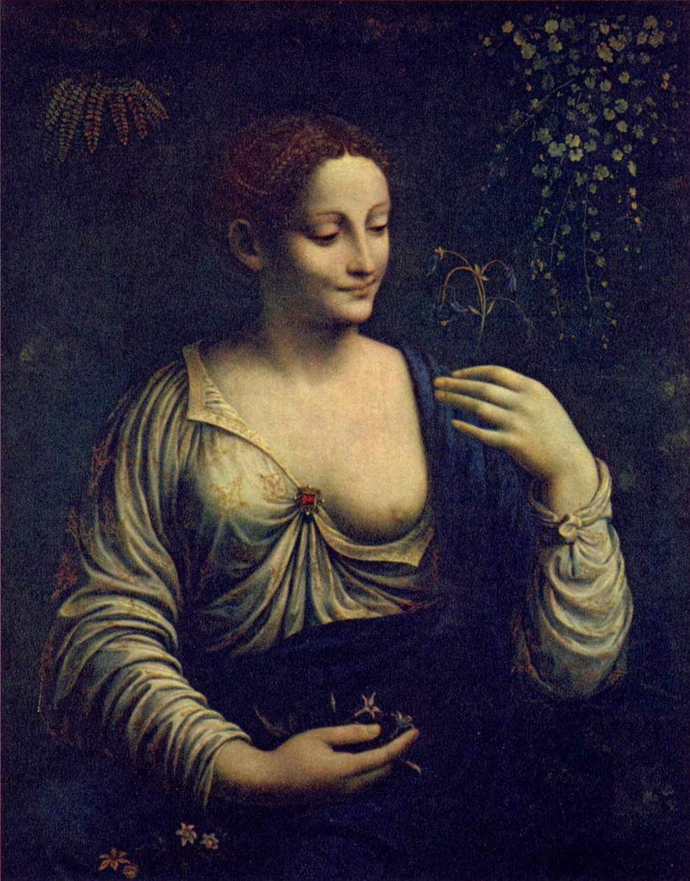 Flora af Francesco Melzi