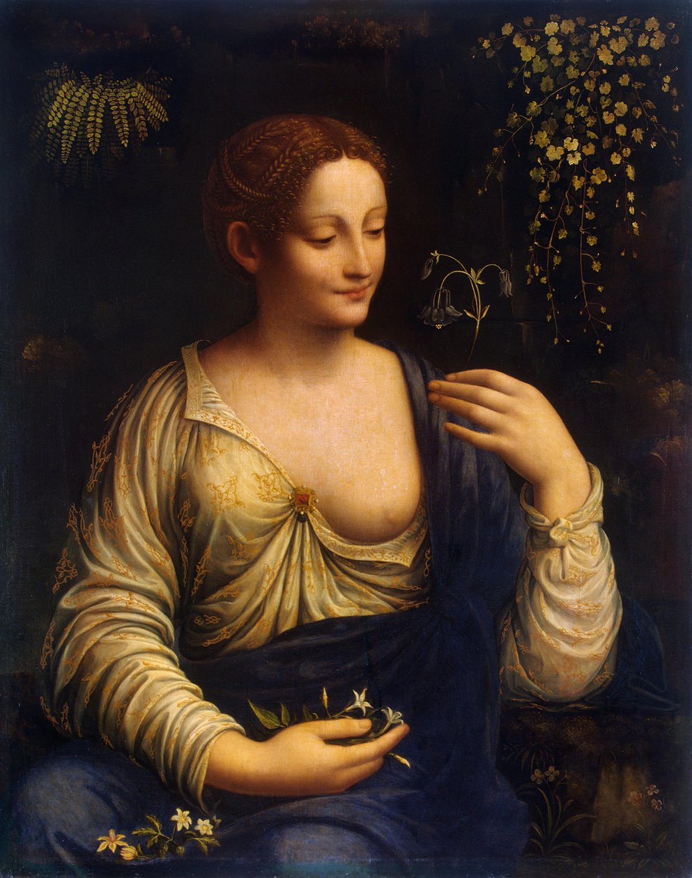 Flora af Francesco Melzi