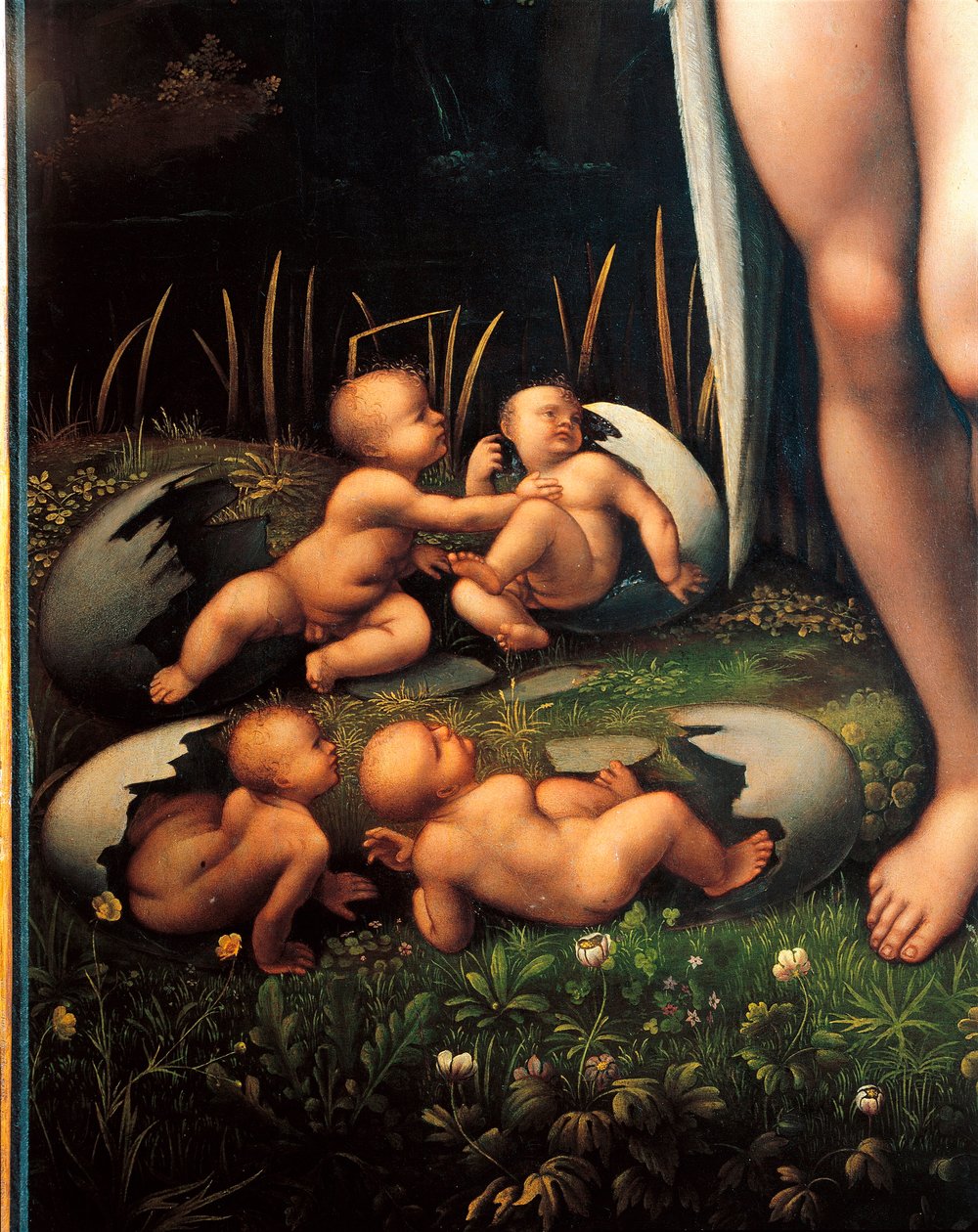 Leda og svanen (detalje) af Francesco Melzi or Melzo