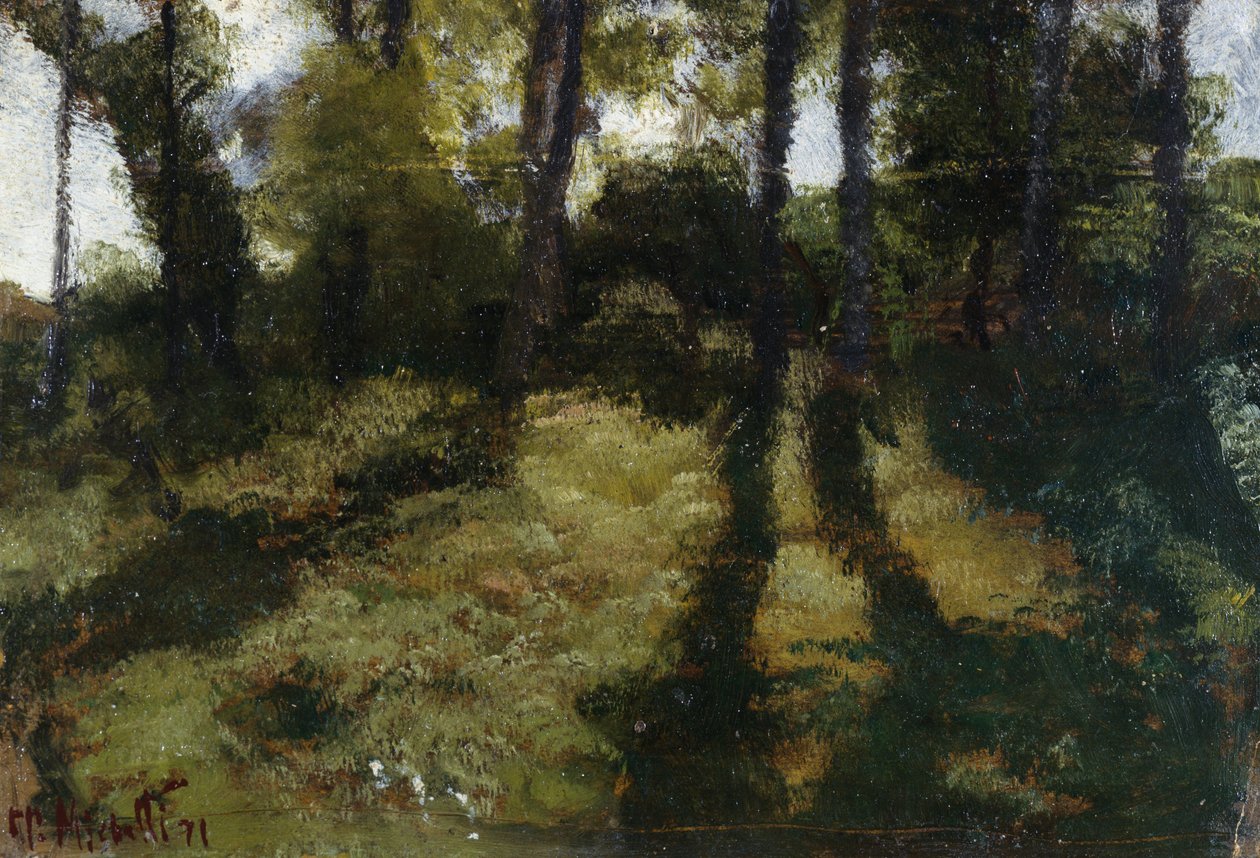 Undersøgelse af træ af Francesco Paolo Michetti