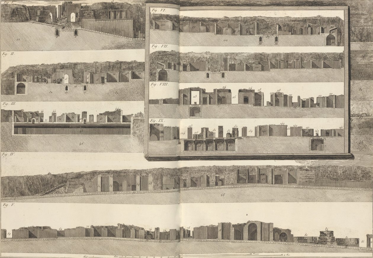 Tværsnit, som viser de forskellige aspekter af bygningerne vist i planen for Pom..., 1804. af Francesco Piranesi