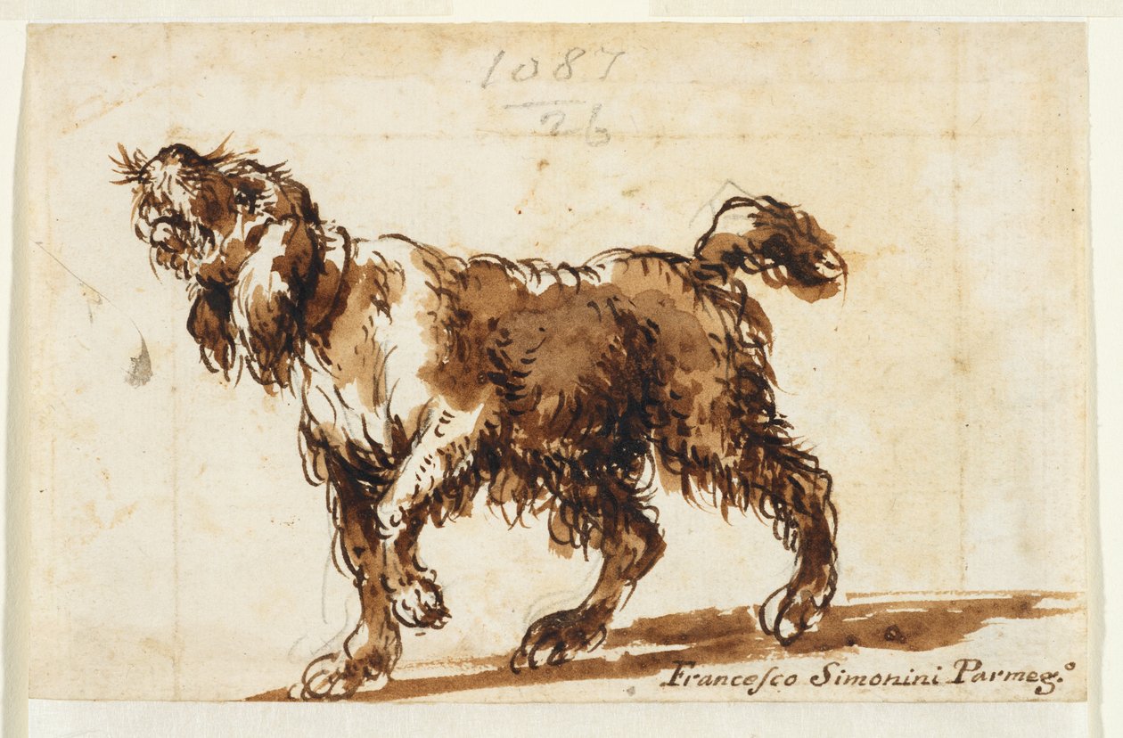 Hundehyler (recto), ca. 1700-50 (sort kridt, pen & brun blæk, brun vask, grafit på lagt papir) af Francesco Simonini