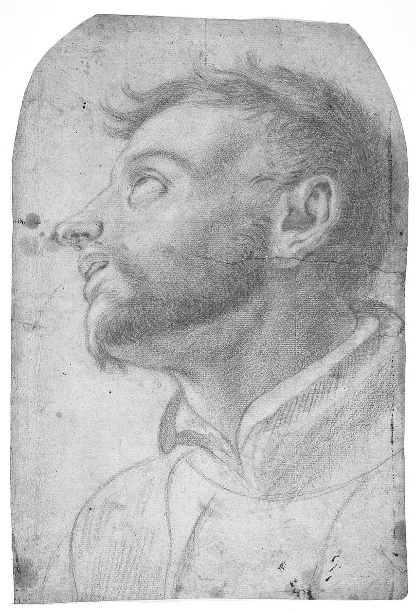Hovedet af en mand, der ser opad af Francesco Solimena