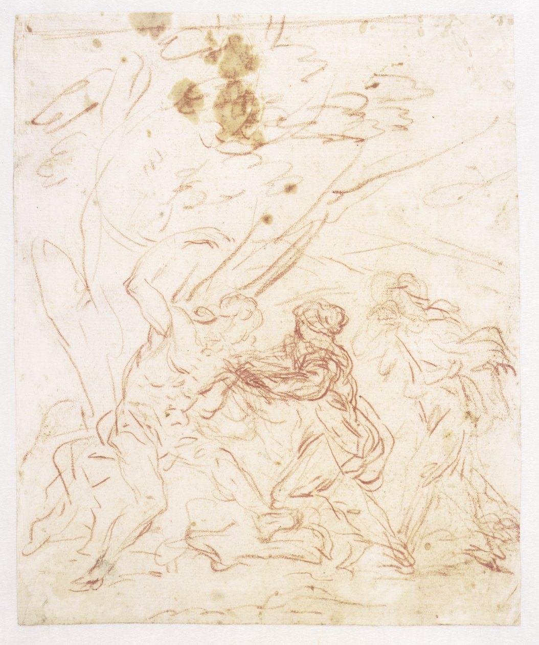 Sankt Sebastian plejet af Sankt Irene af Francesco Solimena
