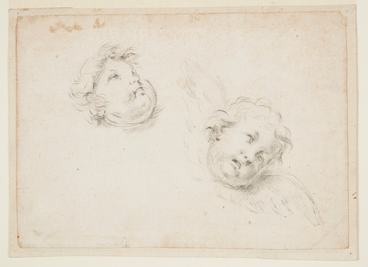 Studie for to keruber af Francesco Solimena