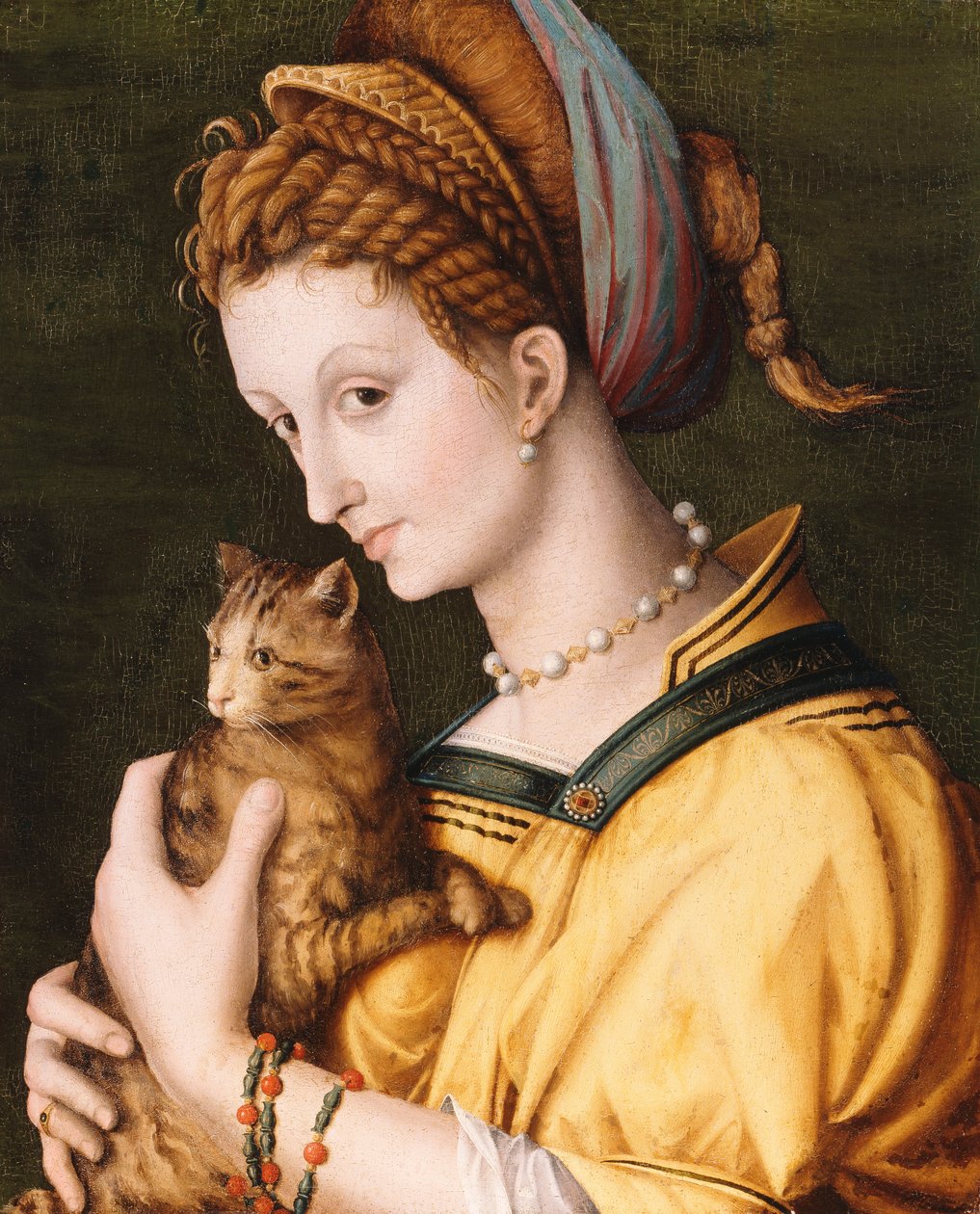 Lady With A Cat, ca. 1525-30 af Francesco Ubertini Bacchiacca