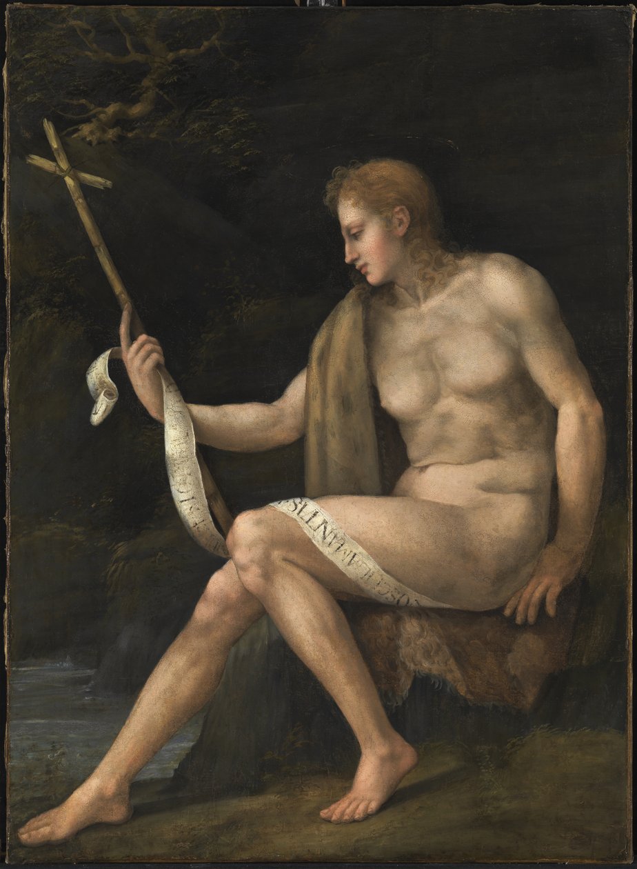 Sankt Johannes Døberen i ørkenen af Francesco Ubertini Bacchiacca