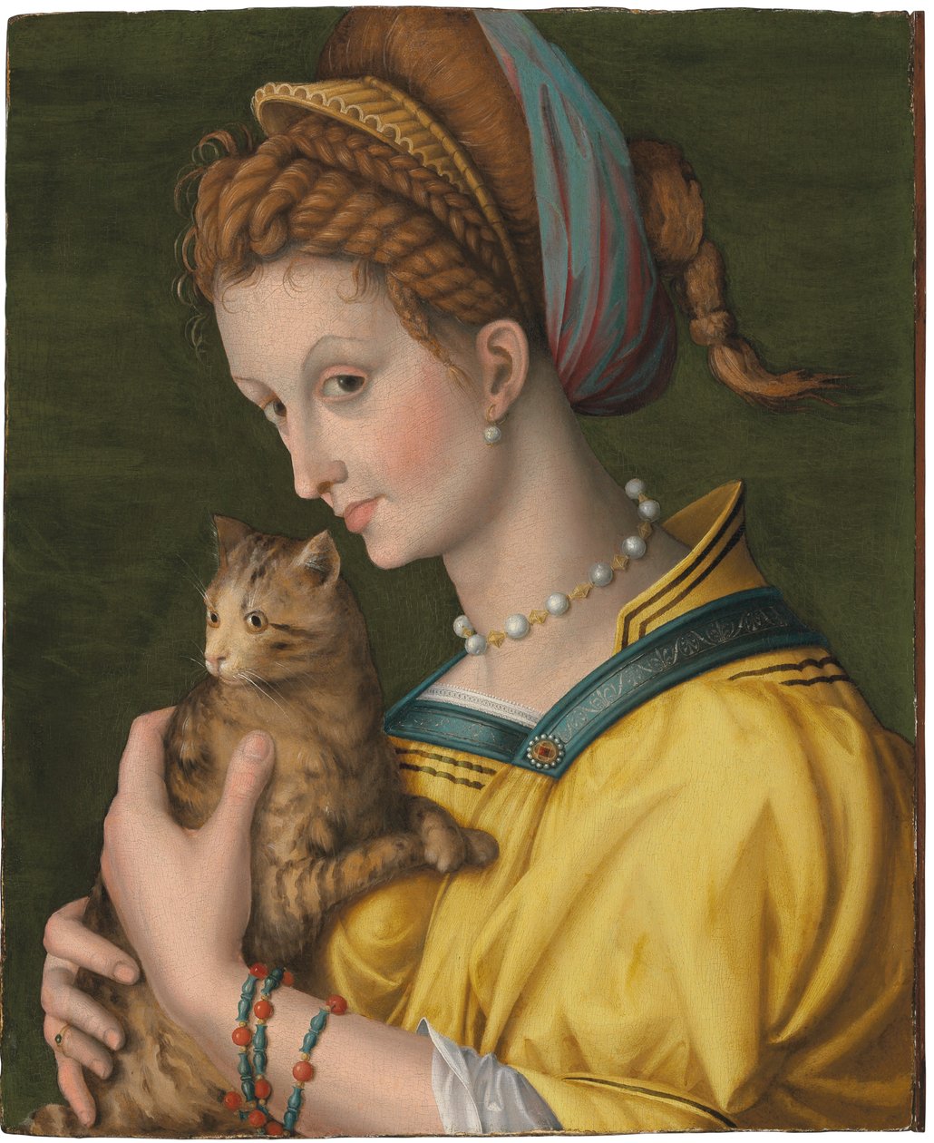 Portræt af en ung dame, der holder en kat af Francesco Ubertini Verdi Bachiacca