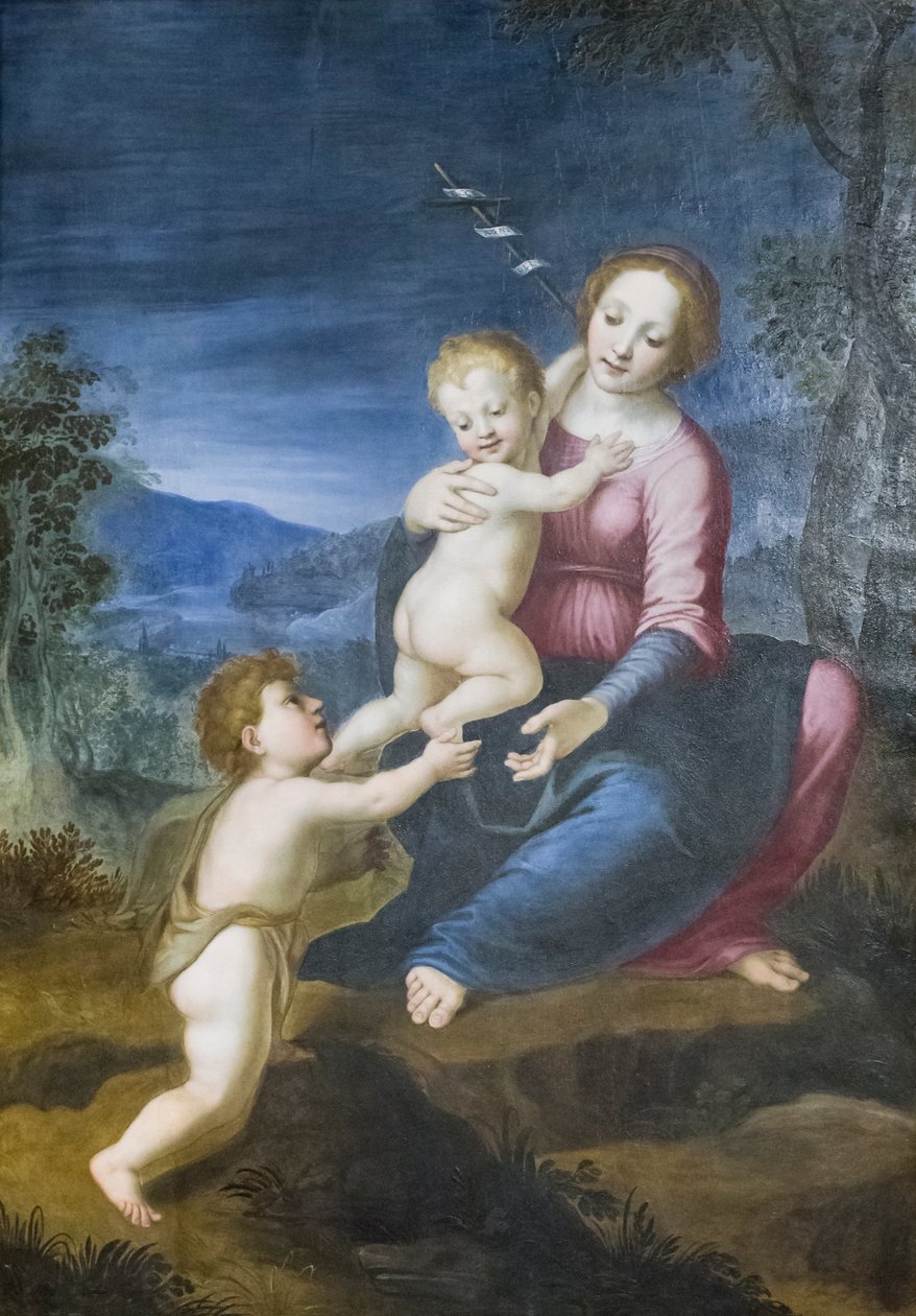 Jomfruen med Jesus og Johannes Døberen af Francesco di Cristofano Franciabigio
