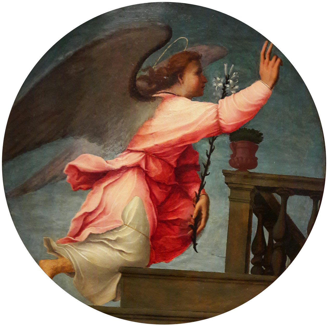 Engel fra paret Annunciation af Francesco di Cristofano Franciabigio