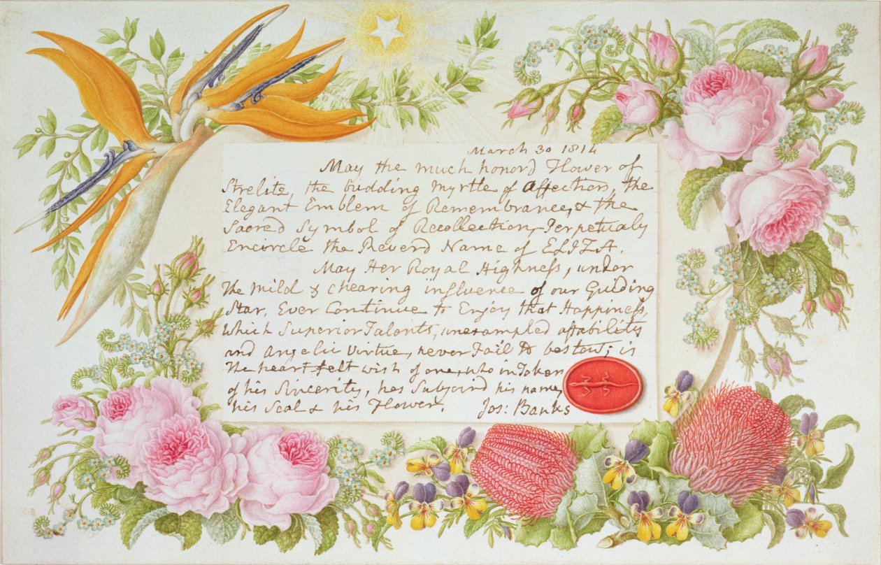 En omkreds af blandede blomster med et indskrevet budskab af Joseph Banks, 1814 (wc på papir) af Francis Bauer