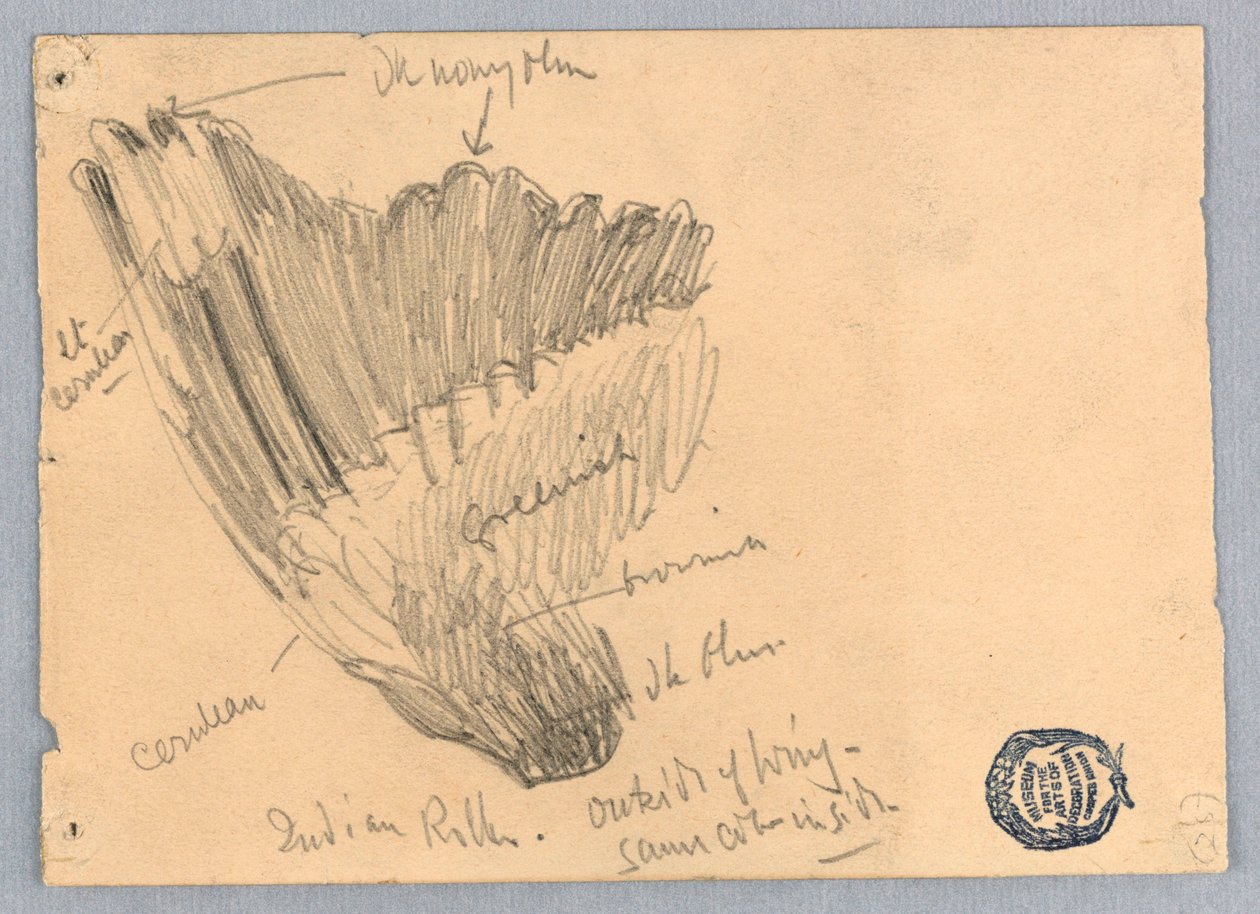 Skitse af en vinge af Francis Augustus Lathrop