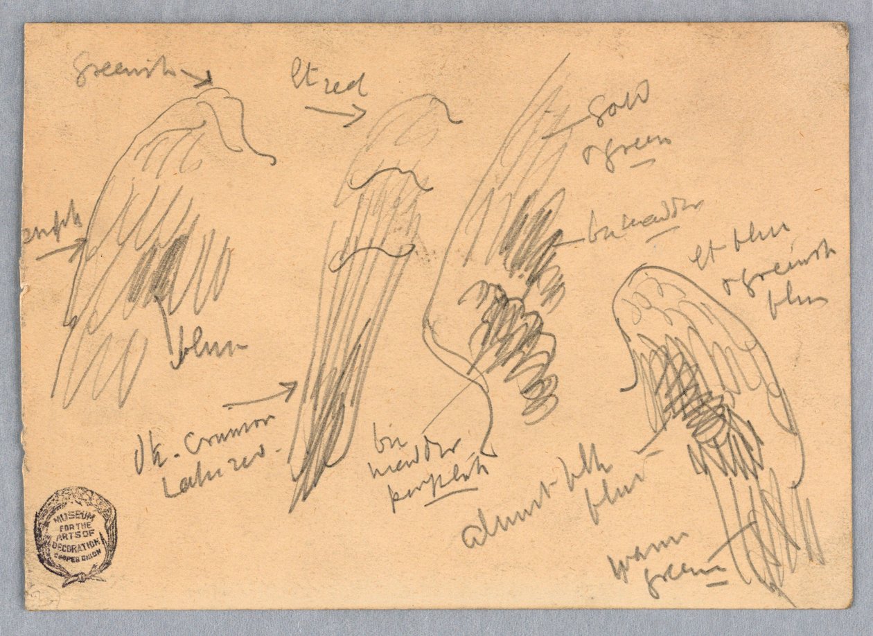Skitser af vinger af Francis Augustus Lathrop