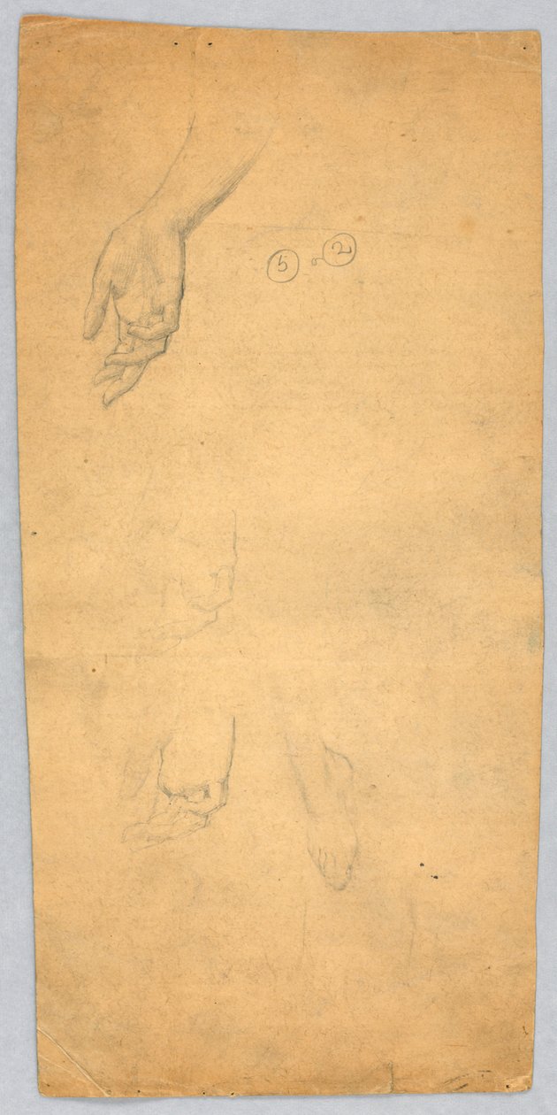 Studier af hænder og en fod af Francis Augustus Lathrop