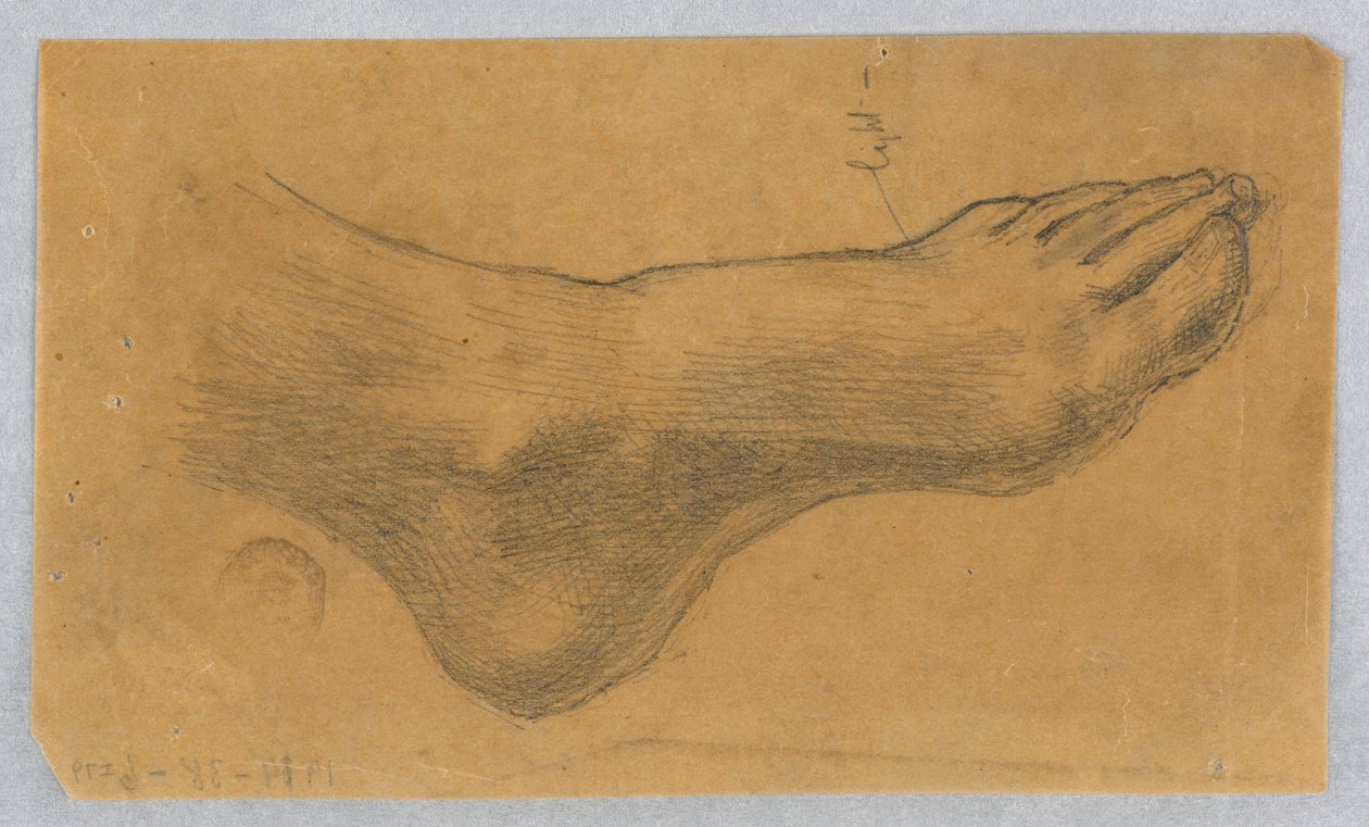 Undersøgelse for "Diana og hendes ledsagere blandt konstellationerne" af Francis Augustus Lathrop